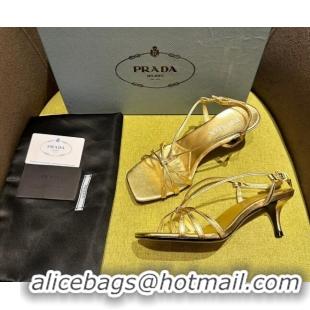 Best Grade Prada Heeled leather sandals 5.5cm with Logo Pendant Gold 720015