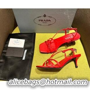 Best Product Prada Heeled leather sandals 5.5cm with Logo Pendant Red 720016