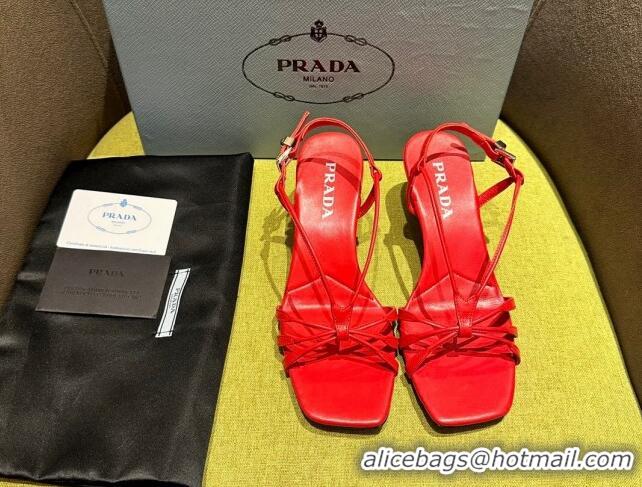 Best Product Prada Heeled leather sandals 5.5cm with Logo Pendant Red 720016