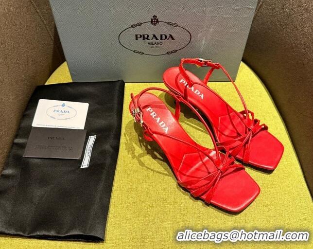 Best Product Prada Heeled leather sandals 5.5cm with Logo Pendant Red 720016