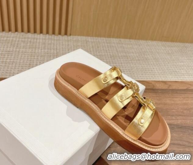 Top Design Celine Tippi Flat Slide Sandals in Calfskin Leather Gold 322031