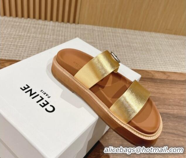 Luxurious Celine Buckle Flat Slide Sandals in Calfskin Leather Gold 322036