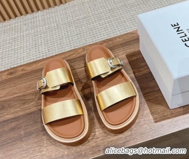 Luxurious Celine Buckle Flat Slide Sandals in Calfskin Leather Gold 322036