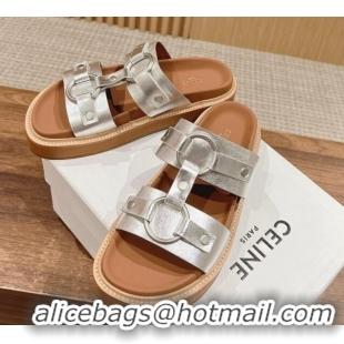 Best Product Celine Tippi Buckle Flat Slide Sandals in Calfskin Silver 322040