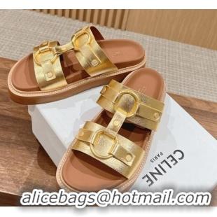 Most Popular Celine Tippi Buckle Flat Slide Sandals in Calfskin Gold 322041