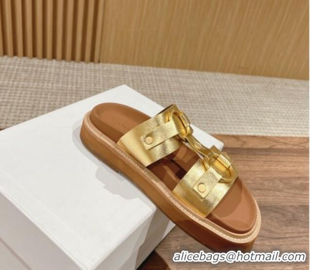 Most Popular Celine Tippi Buckle Flat Slide Sandals in Calfskin Gold 322041