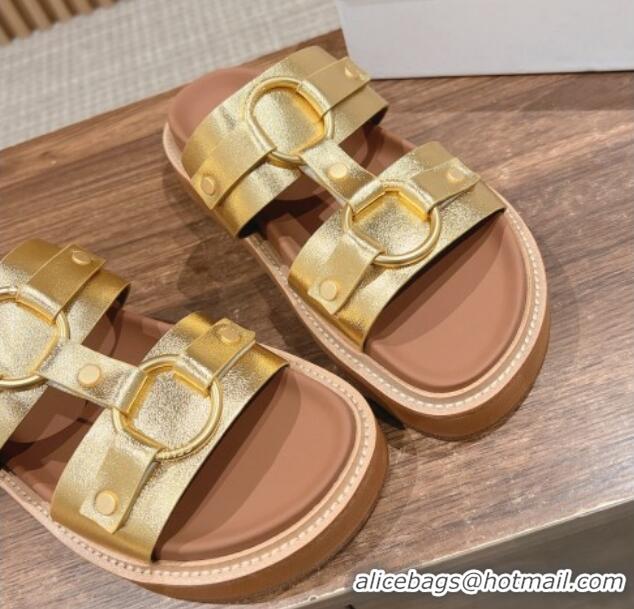 Most Popular Celine Tippi Buckle Flat Slide Sandals in Calfskin Gold 322041