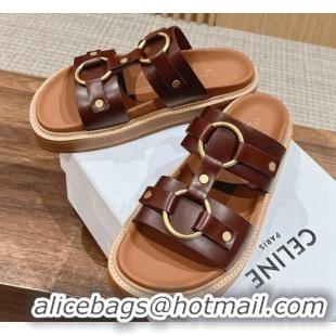 Grade Quality Celine Tippi Buckle Flat Slide Sandals in Calfskin Dark Brown 322043