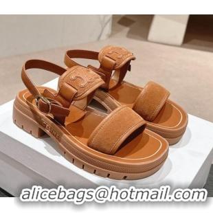 Good Product Celine Clea Triomphe Sandals in Suede and Calfskin Brown 531152