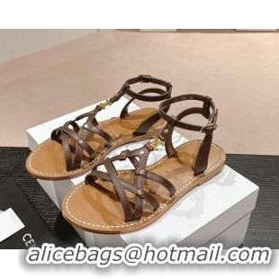 Good Quality Celine Calfskin Strap Flat Sandals Brown 531155