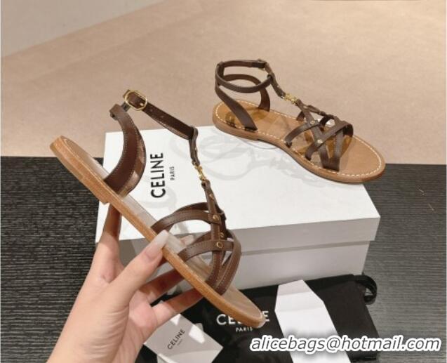 Good Quality Celine Calfskin Strap Flat Sandals Brown 531155