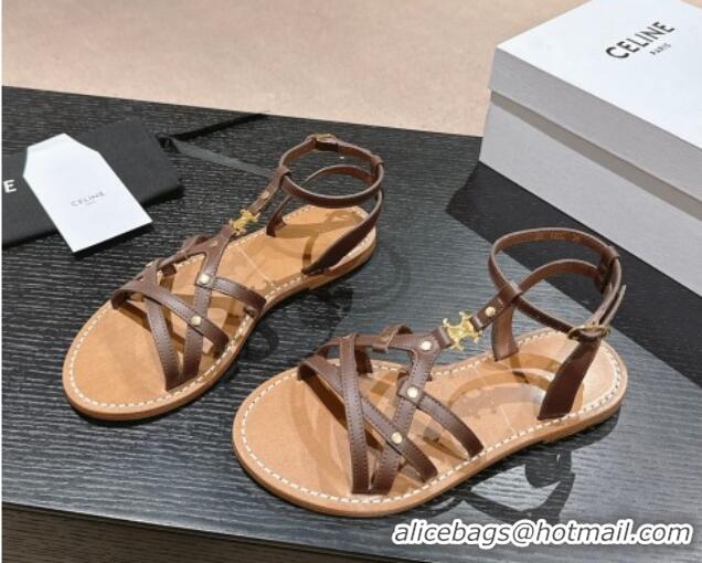 Good Quality Celine Calfskin Strap Flat Sandals Brown 531155