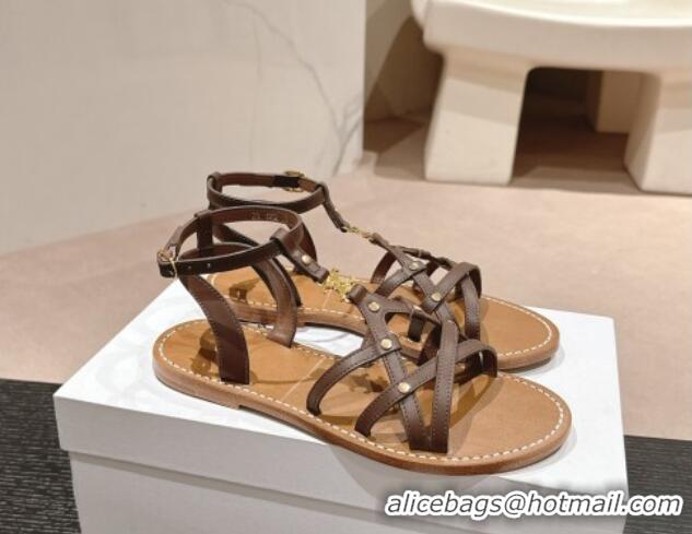 Good Quality Celine Calfskin Strap Flat Sandals Brown 531155