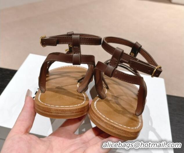 Good Quality Celine Calfskin Strap Flat Sandals Brown 531155