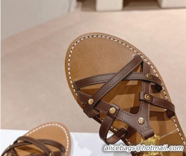 Good Quality Celine Calfskin Strap Flat Sandals Brown 531155