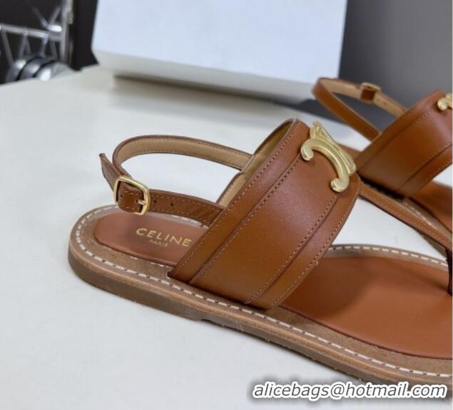 Unique Style Celine Lympia Triomphe Thong Flat Sandals in Calfskin Brown 531167