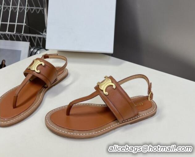 Unique Style Celine Lympia Triomphe Thong Flat Sandals in Calfskin Brown 531167