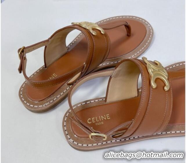 Unique Style Celine Lympia Triomphe Thong Flat Sandals in Calfskin Brown 531167