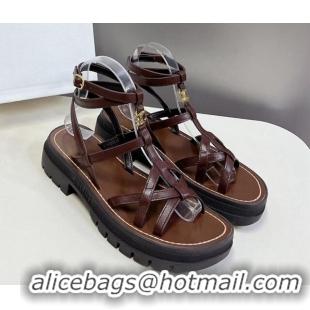 Popular Style Celine Calfskin Strap Sandals Dark Brown 531177