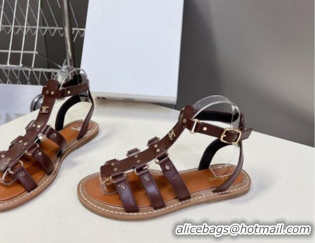 Perfect Celine Lympia Flat Sandals in Calfskin Dark Brown 629049