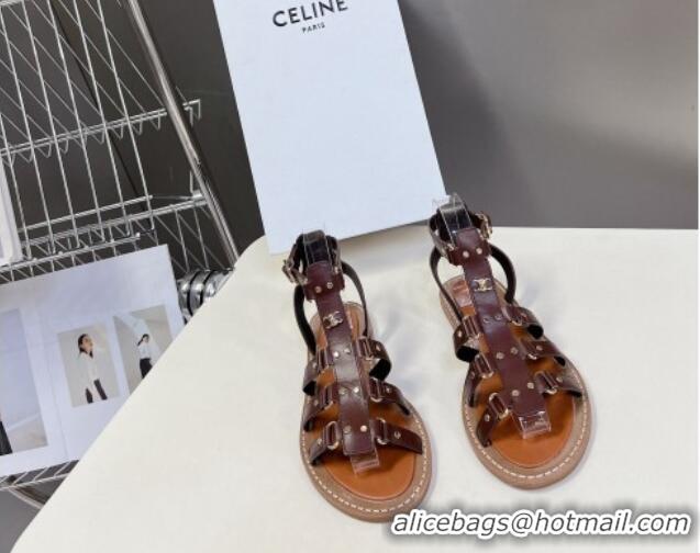 Perfect Celine Lympia Flat Sandals in Calfskin Dark Brown 629049