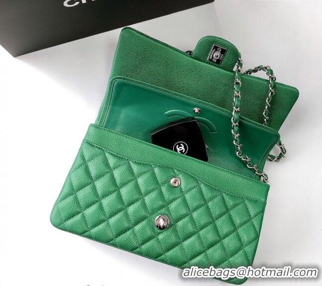 Luxurious Chanel Classic Iridescent Grained Calfskin Medium Flap Bag A01112 Green 2024