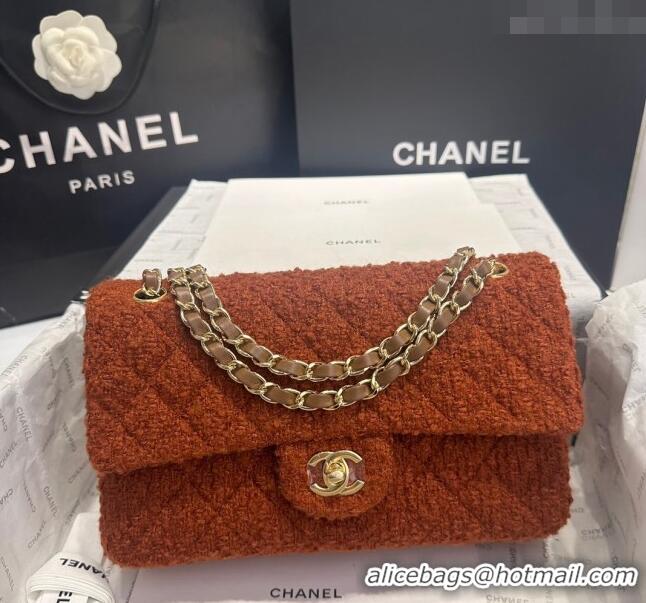 Grade Promotional Chanel Classic Tweed Medium Flap Bag A01112 Brown 2024