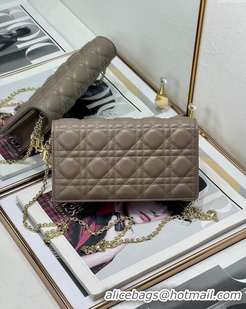 Promotional Dior Lady Dior Pouch in Metallic Leather M81B Taupe 2024