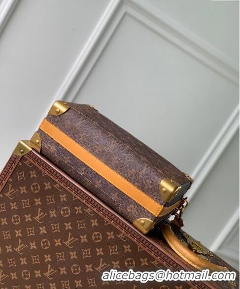 Famous Brand Louis Vuitton Soul Trunk East West Shoulder bag in Monogram Dust Canvas M11536 2024