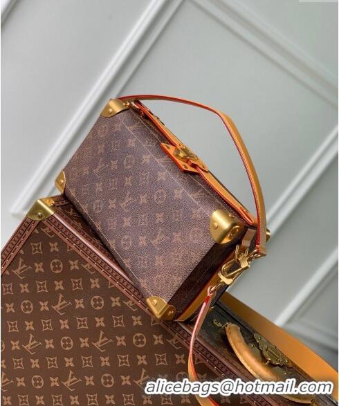 Famous Brand Louis Vuitton Soul Trunk East West Shoulder bag in Monogram Dust Canvas M11536 2024