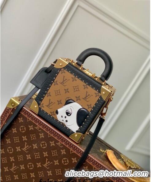 Top Grade Louis Vuitton Mini Square Trunk Dog Box bag M11210 2024