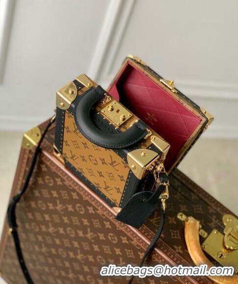 Top Grade Louis Vuitton Mini Square Trunk Dog Box bag M11210 2024