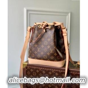 New Design Louis Vuitton Monogram Canvas Vintage Neo BB Bucket Bag M40817 2024