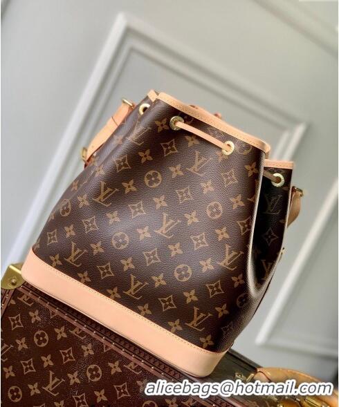 Promotional Louis Vuitton Monogram Canvas Vintage Petit Neo NM Bucket Bag M40818 2024