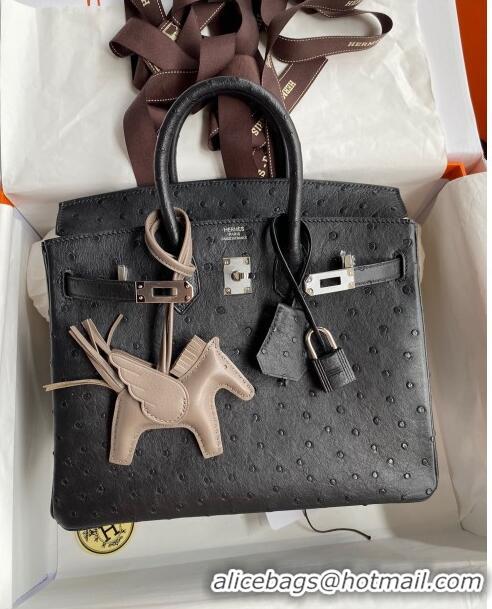 Buy Classic Hermes Birkin 25cm Bag in Ostrich Leather H0025 Black/Silver 2024 (Full Handmade)