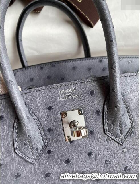 Spot Bulk Hermes Birkin 25cm Bag in Ostrich Leather H0025 Agate Grey/Silver 2024 (Full Handmade)