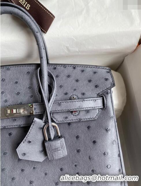 Spot Bulk Hermes Birkin 25cm Bag in Ostrich Leather H0025 Agate Grey/Silver 2024 (Full Handmade)