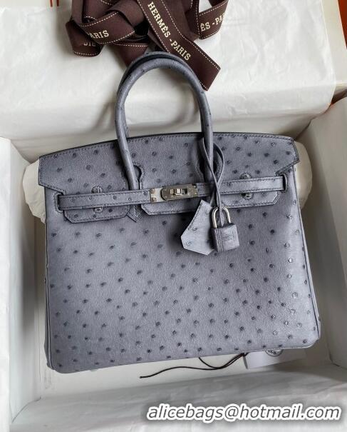 Spot Bulk Hermes Birkin 25cm Bag in Ostrich Leather H0025 Agate Grey/Silver 2024 (Full Handmade)