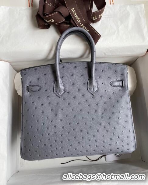 Spot Bulk Hermes Birkin 25cm Bag in Ostrich Leather H0025 Agate Grey/Silver 2024 (Full Handmade)