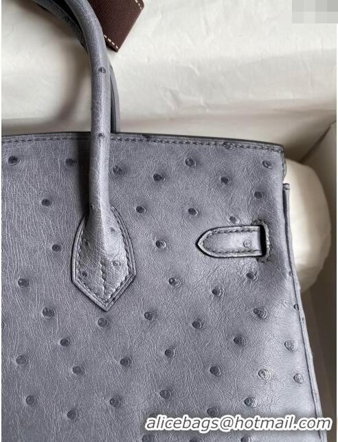 Spot Bulk Hermes Birkin 25cm Bag in Ostrich Leather H0025 Agate Grey/Silver 2024 (Full Handmade)