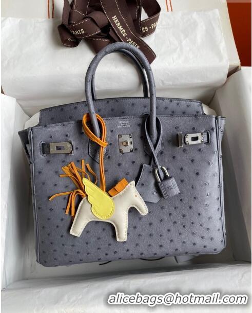 Spot Bulk Hermes Birkin 25cm Bag in Ostrich Leather H0025 Agate Grey/Silver 2024 (Full Handmade)