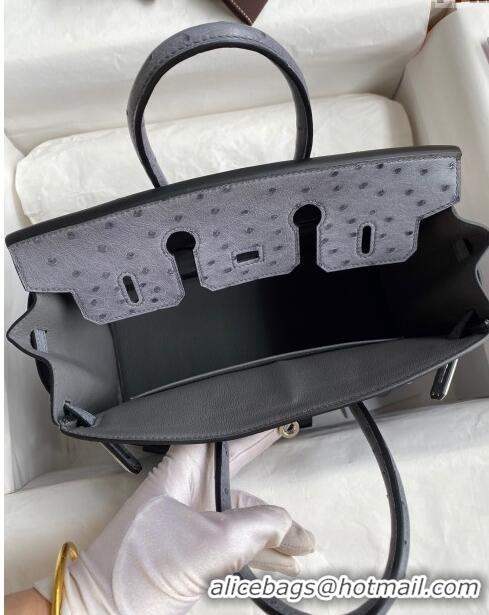 Spot Bulk Hermes Birkin 25cm Bag in Ostrich Leather H0025 Agate Grey/Silver 2024 (Full Handmade)