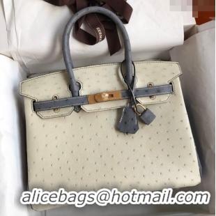 Market Sells Hermes Birkin 25cm Bag in Ostrich Leather H0025 Glacier White/Agate Grey/Gold 2024 (Full Handmade)