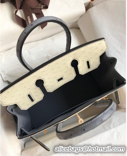 Market Sells Hermes Birkin 25cm Bag in Ostrich Leather H0025 Glacier White/Agate Grey/Gold 2024 (Full Handmade)