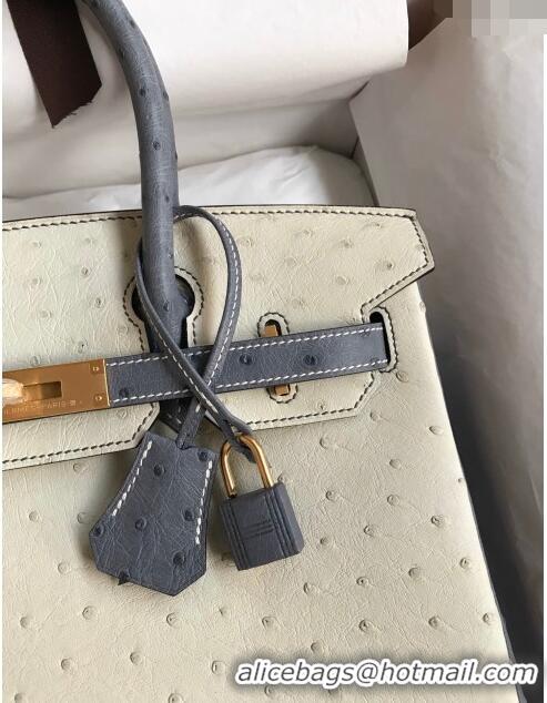 Market Sells Hermes Birkin 25cm Bag in Ostrich Leather H0025 Glacier White/Agate Grey/Gold 2024 (Full Handmade)