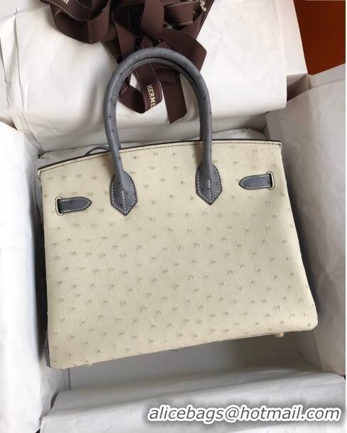 Market Sells Hermes Birkin 25cm Bag in Ostrich Leather H0025 Glacier White/Agate Grey/Gold 2024 (Full Handmade)