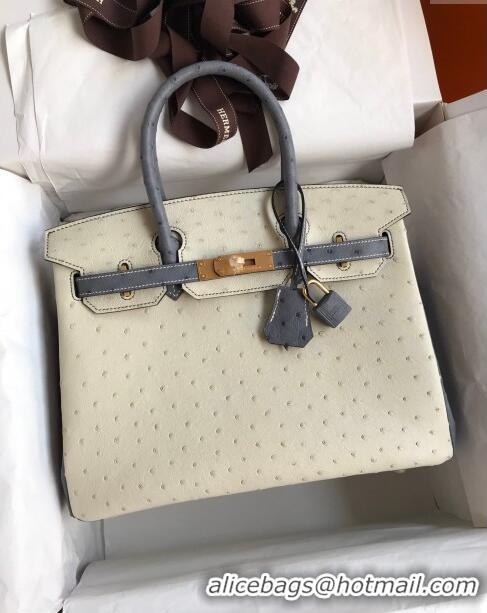 Market Sells Hermes Birkin 25cm Bag in Ostrich Leather H0025 Glacier White/Agate Grey/Gold 2024 (Full Handmade)