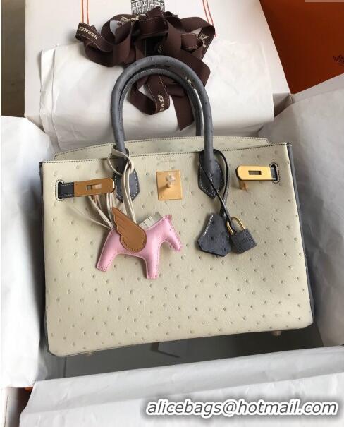 Market Sells Hermes Birkin 25cm Bag in Ostrich Leather H0025 Glacier White/Agate Grey/Gold 2024 (Full Handmade)