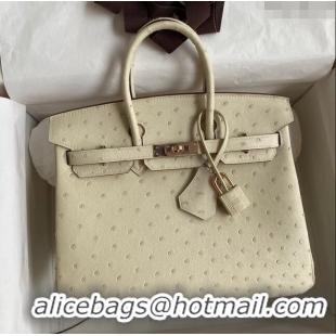 Stylish Hermes Birkin 25cm Bag in Ostrich Leather H0025 Wool White/Pink Gold 2024 (Full Handmade)