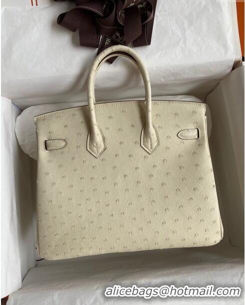 Stylish Hermes Birkin 25cm Bag in Ostrich Leather H0025 Wool White/Pink Gold 2024 (Full Handmade)